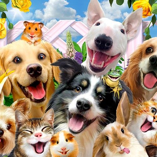 Pets